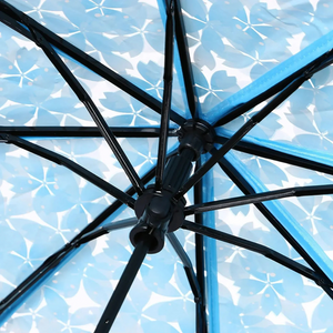 Parapluie Transparent Fleur de Cerisier Bleu - Acheter Parapluie