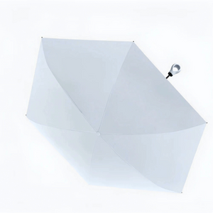Mini Parapluie Capsule Compact Blanc - Acheter Parapluie