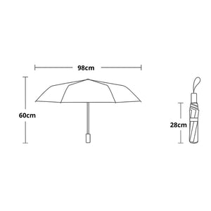 Parapluie à Motifs Paris Premium Gris - Acheter Parapluie