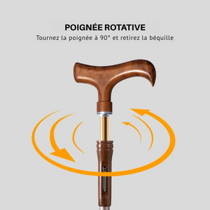 Parapluie Canne de Marche Luxe Noir Jaune - Acheter Parapluie