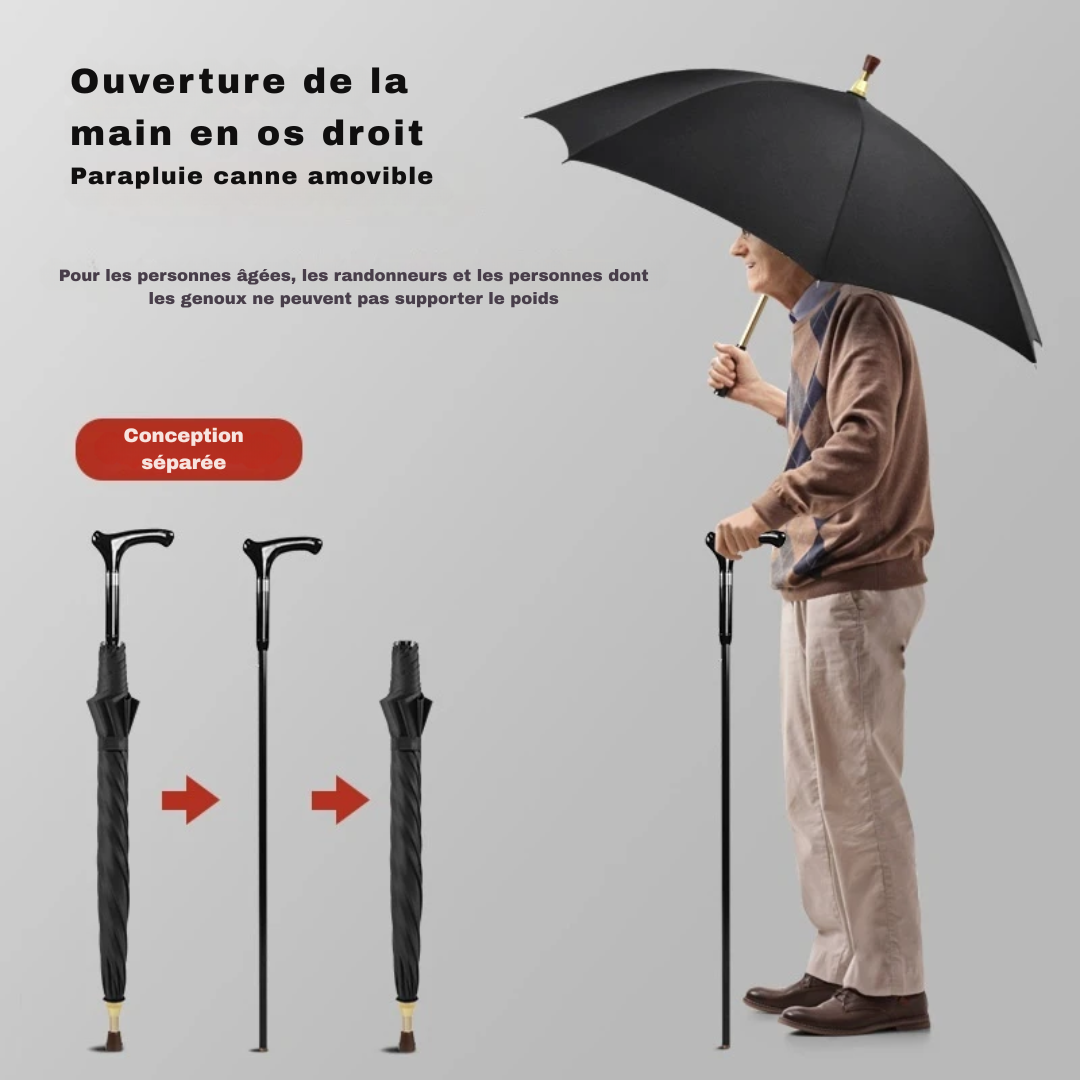 Parapluie Canne de Marche Robustesse Bleu Foncé - Acheter Parapluie